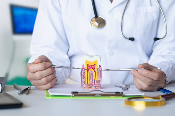 Best Orthodontic Emergency Dentist in Harriman, NY